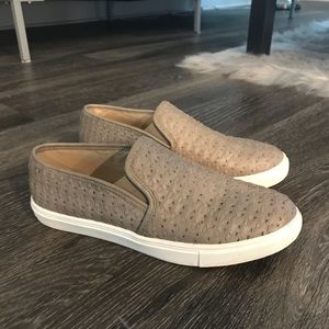Steve Madden Slip on Shoe
